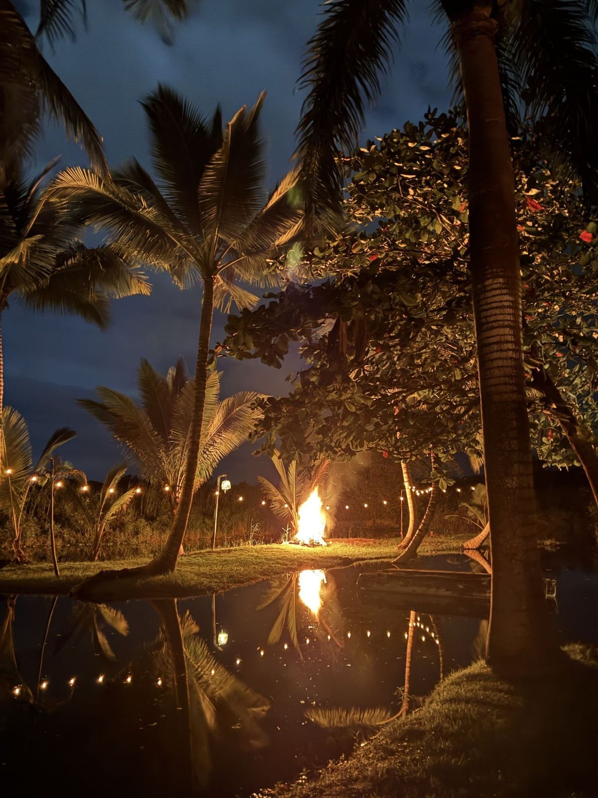 A campfire glowing between palm trees beside a still lagoon at night, strung with small lights.